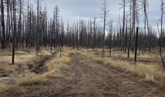 Bull Pine Road 173 Acres, Bly, OR 97622