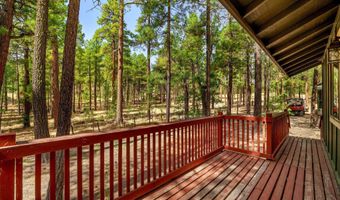 56 Co Rd 2266, Alpine, AZ 85920