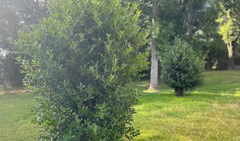 200 Stevenson Rd, Abbeville, SC 29620