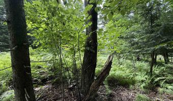 1386 Clif Reynolds Rd, Cambridge, VT 05444
