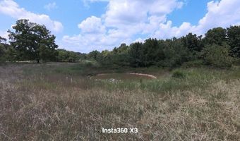 16949 Us 160, Alton, MO 65606