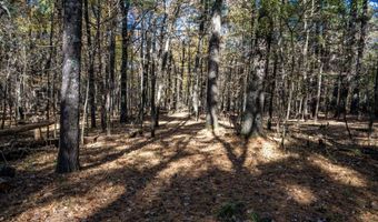 Lot 33 S Badger Lane, Arkdale, WI 54613