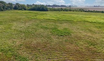 14 31 Acres Highway 463, Bay, AR 72411