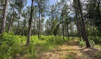 Fox Paw Court, Branchville, SC 29432