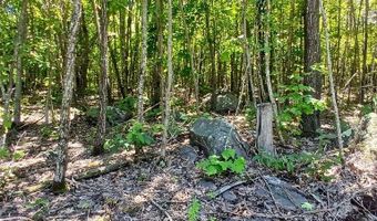 0000000 Easement, Annapolis, MO 63620