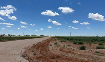SE CR 2870, Andrews, TX 79714