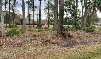 388 Oak Grove Island Dr, Brunswick, GA 31523