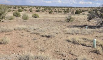 10 N9228, Concho, AZ 85924