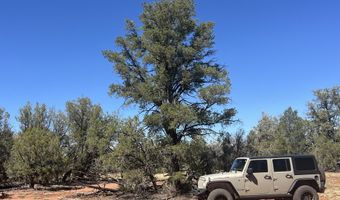 224 E2 Rocky Rd, Ash Fork, AZ 86320