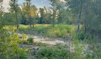 BLK 211 Vancouver Drive lot 21, Alford, FL 32420