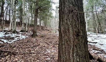 1156 Baird Rd, Barton, VT 05822