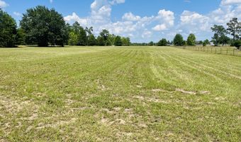 Campbell Circle, Alford, FL 32420