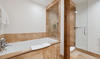 415 E Dean St Unit 12 Week 5, Aspen, CO 81611