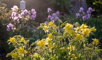 927 CAMINO VISTA RIO, Bernalillo, NM 87004