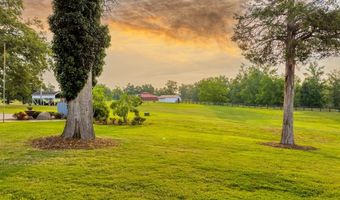 530 MS-15, Blue Mountain, MS 38610