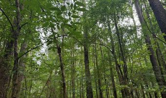 2780 Jackson Liberty Rd, Bogue Chitto, MS 39629