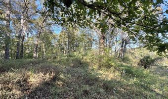 1 Mooretown Hill Rd, Beattyville, KY 41311