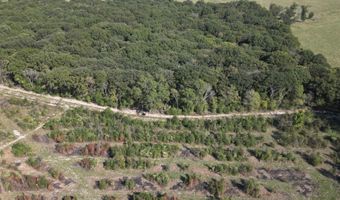 0 C FM 1326, De Kalb, TX 75559