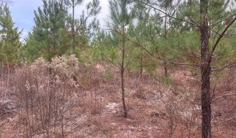 Qbf 12 Nurnberg Dr Road Qbf 12, Batesburg Leesville, SC 29070