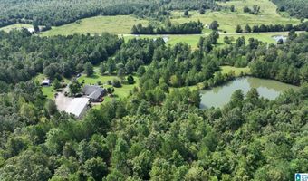 3941 SHOAL CREEK Rd, Ashville, AL 35953
