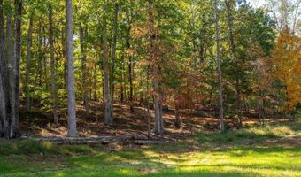 7337- B DICK WOODS Rd, Afton, VA 22920