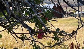 TBD S US Hwy 89, Bloomington, ID 83223