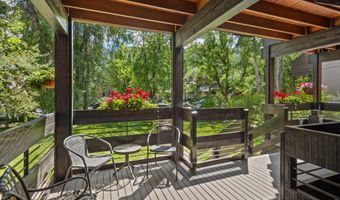 824 E Hopkins Ave 102 and 202, Aspen, CO 81611