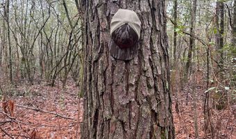 Wilburn Taylor Road, Buckatunna, MS 39322