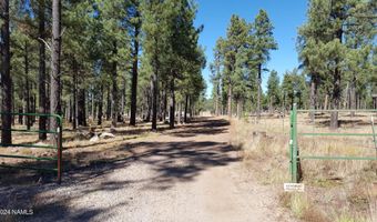 6812 W Soggy Bottom Ranch Rd, Flagstaff, AZ 86001