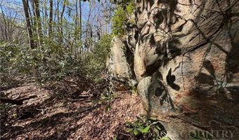 2438 Kellersville Rd, Banner Elk, NC 28604