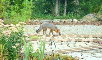 229 Pine Valley Dr, Bassett, VA 24055