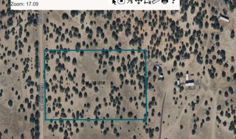Birdwing Lane, Clay Springs, AZ 85923