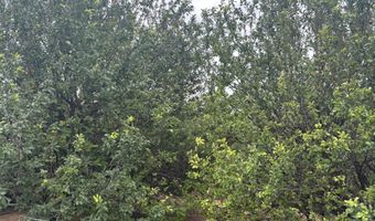 38 Montano Rd, Belen, NM 87002