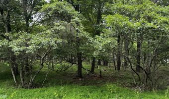 Lot Ep1850 Chippewa Trail, Albrightsville, PA 18210