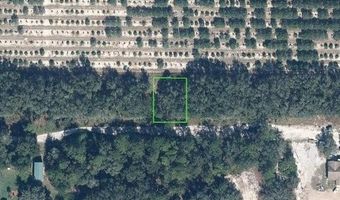 2252 W Border Rd, Avon Park, FL 33825