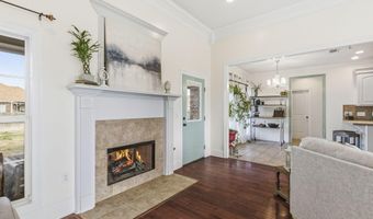 313 Red Cedar Dr, Brandon, MS 39047