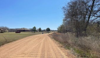Willow Bend Lane, Atoka, OK 74525