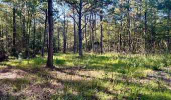 0 Lloyd Mill Rd, Andalusia, AL 36421