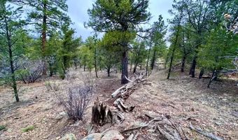 Lot 5 Holmes Road, Cotopaxi, CO 81223