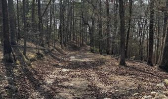 5913 Trout, Alexander, AR 72002