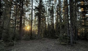 Happy Way lot 45, Angel Fire, NM 87710