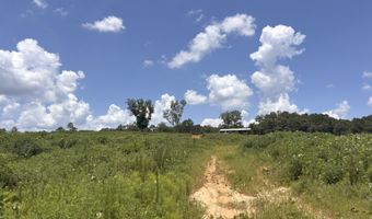 0 CR-215, Ariton, AL 36311