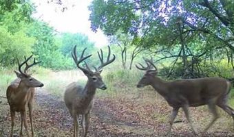 1299 E US HWY 160, Argonia, KS 67004