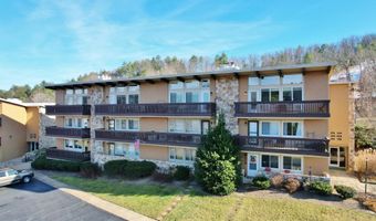 1814 FAIRWAY Dr 338, Basye, VA 22810