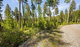 186 Trading Post Trl, Bigfork, MT 59911