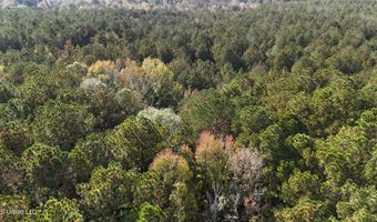 Old Pinola Braxton Rd Road, Braxton, MS 39044
