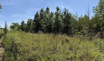 Lot # 2 - 6.2 Ac Perry Horton, Adrian, GA 31002