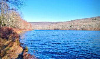 339 Mountain Lake Rd, Andes, NY 13731