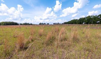 1704 Cobb Rd, Baker, FL 32531