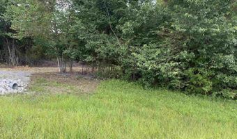 COUNTY ROAD 26 lot 0, Ashville, AL 35953